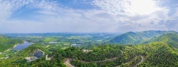 大象传媒 破解-破解大象传媒，透视数字时代下的内容传播新策略