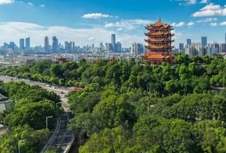 国产91麻豆电影在线看-体会国产影视新风尚，高清观影的国产91麻豆电影