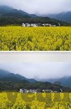 国产精品久久久久免费av麻豆-探析国产优质成人娱乐内容——麻豆平台的深度面貌