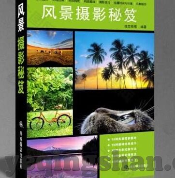 人妻无码-探索人妻角色的多元面向，爱、责任与自我成长