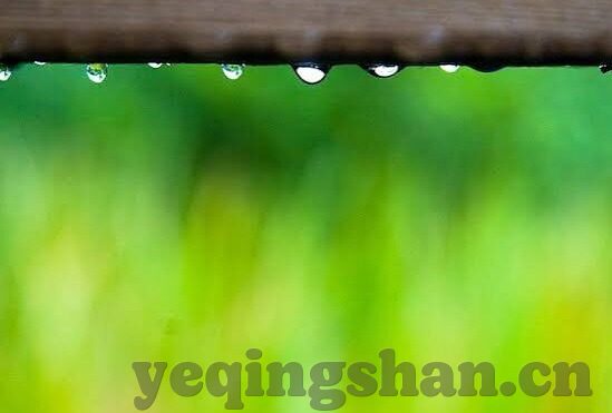 糖心app直播下载苹果-探索糖心APP，直播新平台的魅力与下载体验